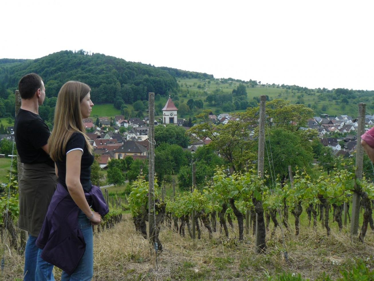 Blick über den Weinort Münchweier