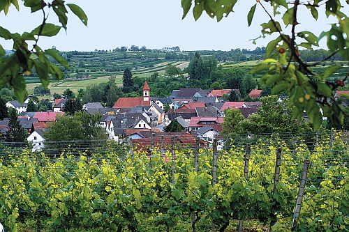 Blick über Ettenheimweiler