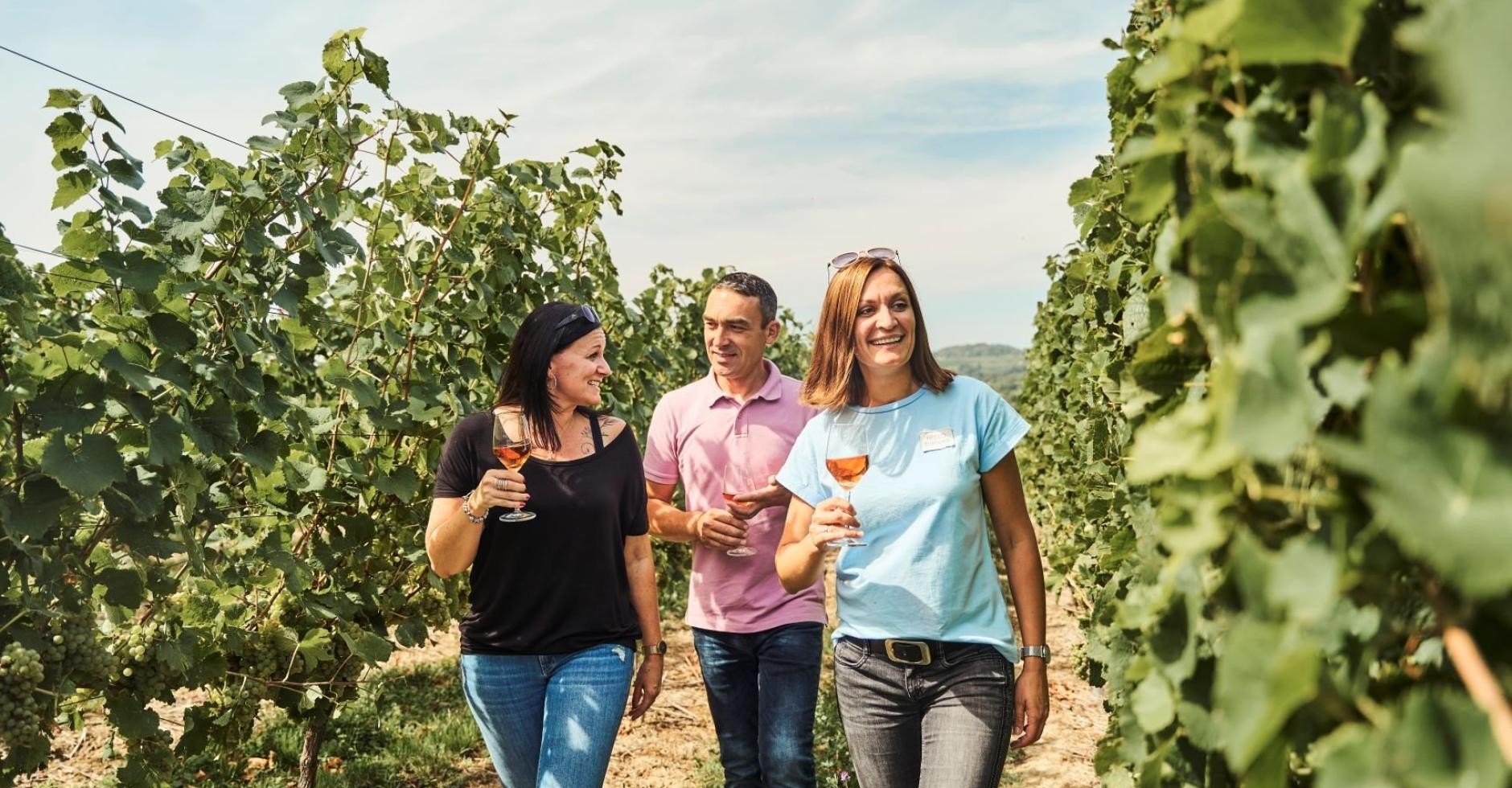 Weinwanderung Weinwanderung