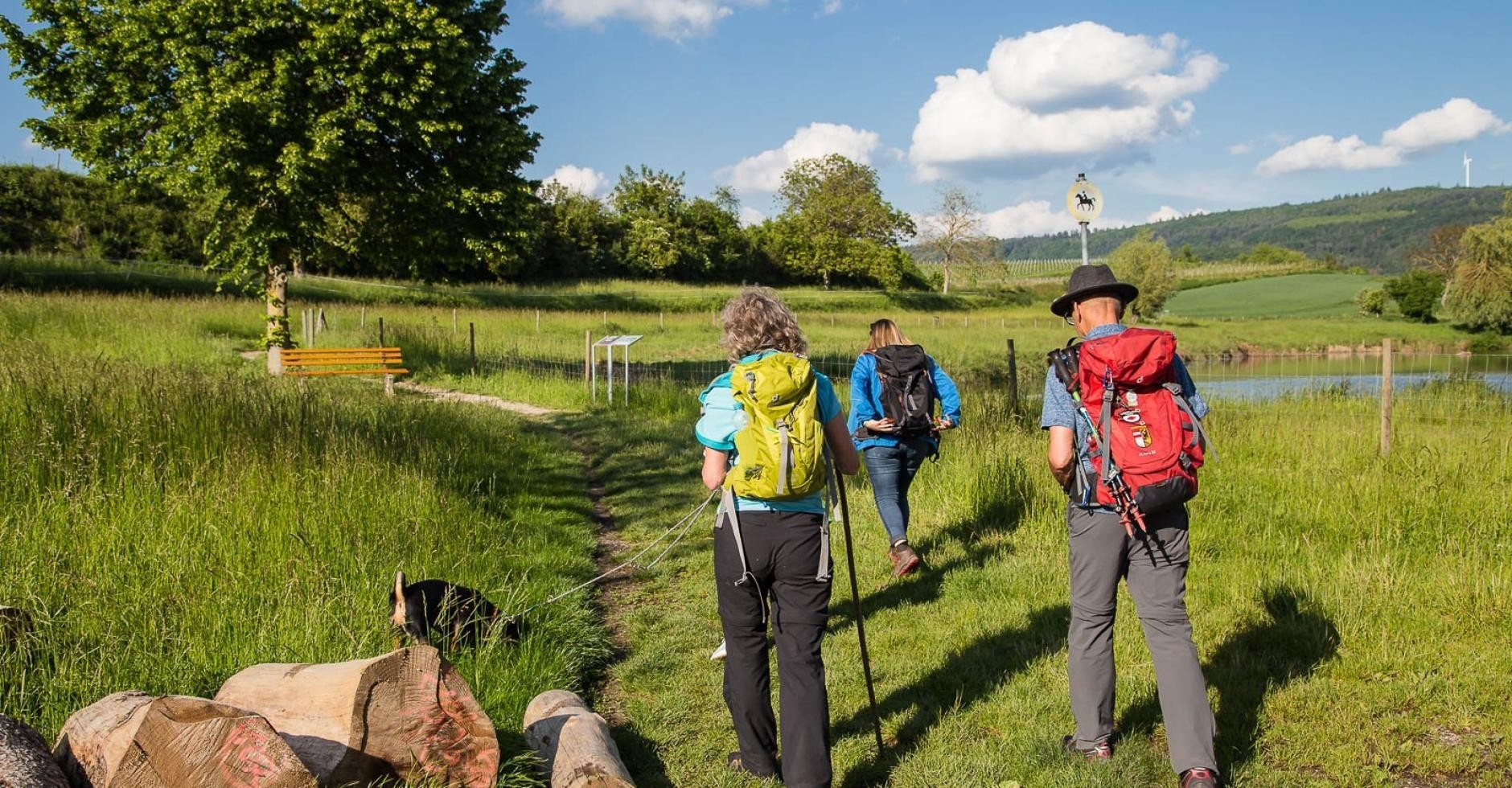 Wandergruppe Wandergruppe