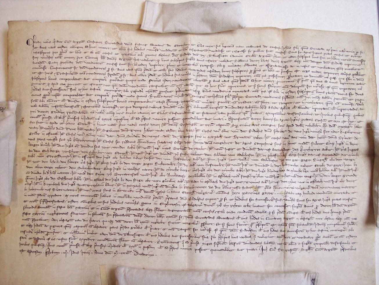 Kaufbrief des Amtmanns Burckhardt aus Ettenheim vom 11. Juni 1312 