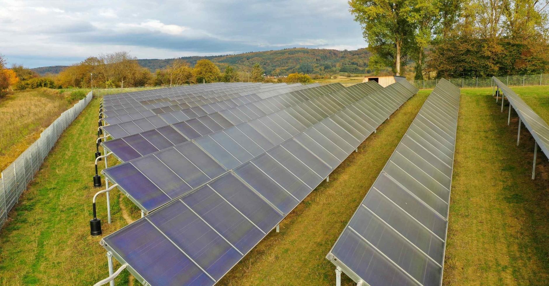 Solarthermische Anlage Fernwärmenetz Ettenheim 