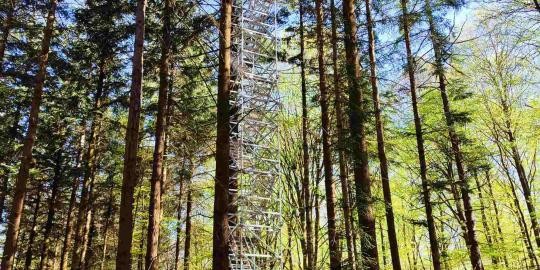 Messturm Wald (002)