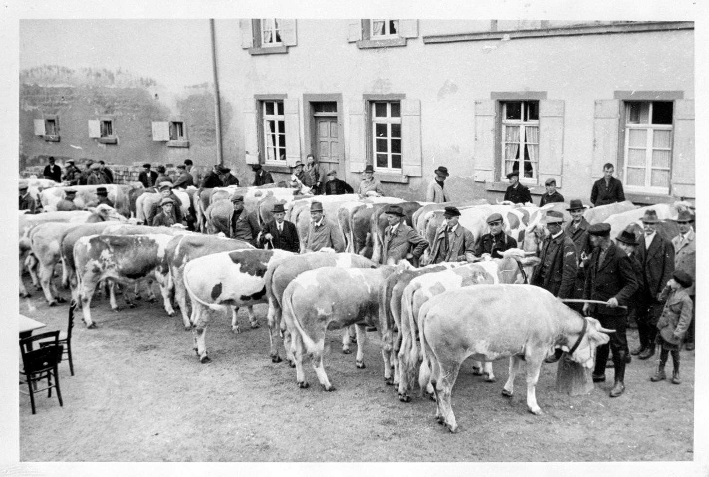 Am Viehmarktplatz - Weideauftrieb 1941 (Stadtarchiv Ettenheim, Historische Datenbank Ettenheim)