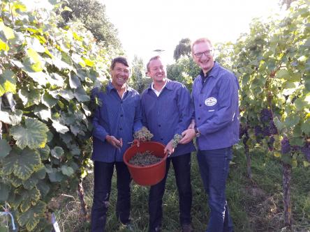 alle 3 Bürgermeister in Aktion
