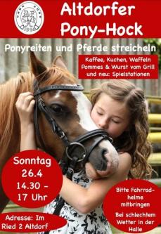 Altdorfer Ponyhock