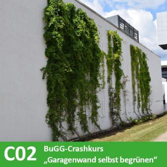 Garagenwand selbst begrünen