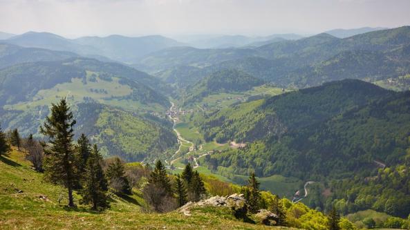 Belchengipfel