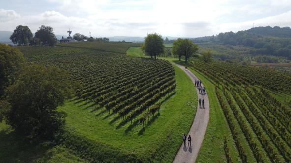 Wanderung auf dem Kaiserberg