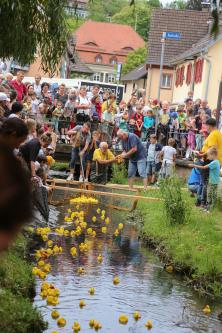 Entenrennen