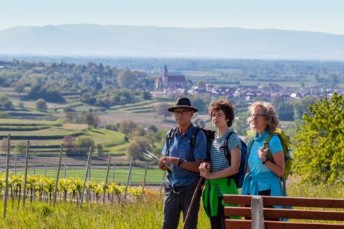 Blick über Ettenheim