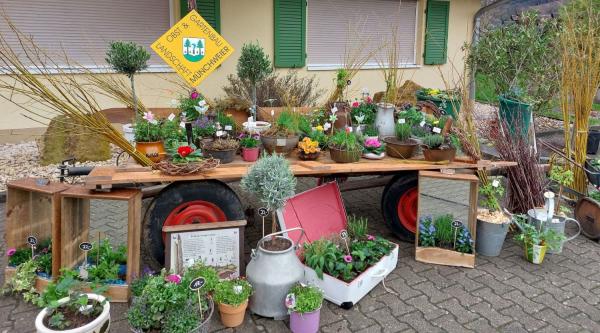 Pflanzenbörse und Kreativmarkt