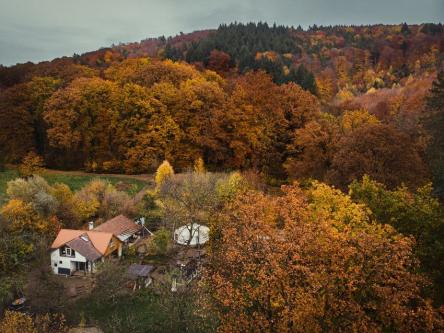 Naturkindergarten Löwenzahn