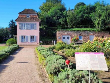 Sommerevents im Prinzengarten