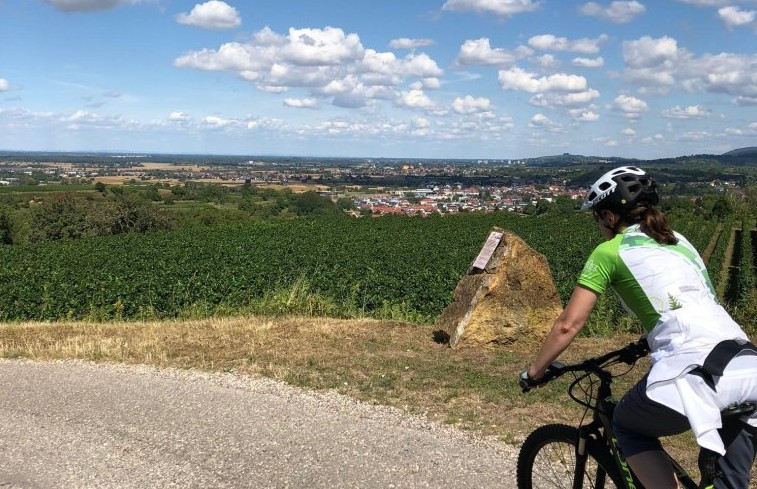 Wald und Reben-Tour