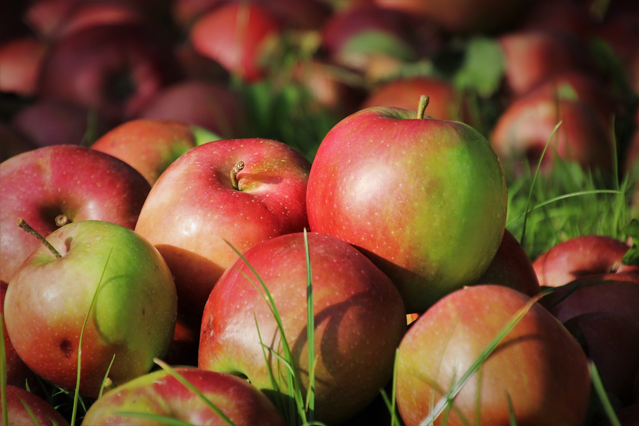 Äpfel