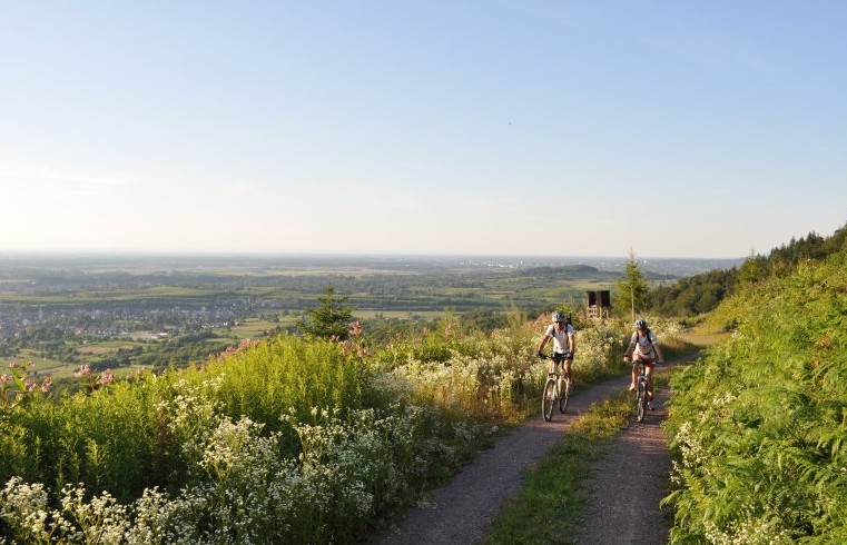 Ettenheimer Panorama-Tour