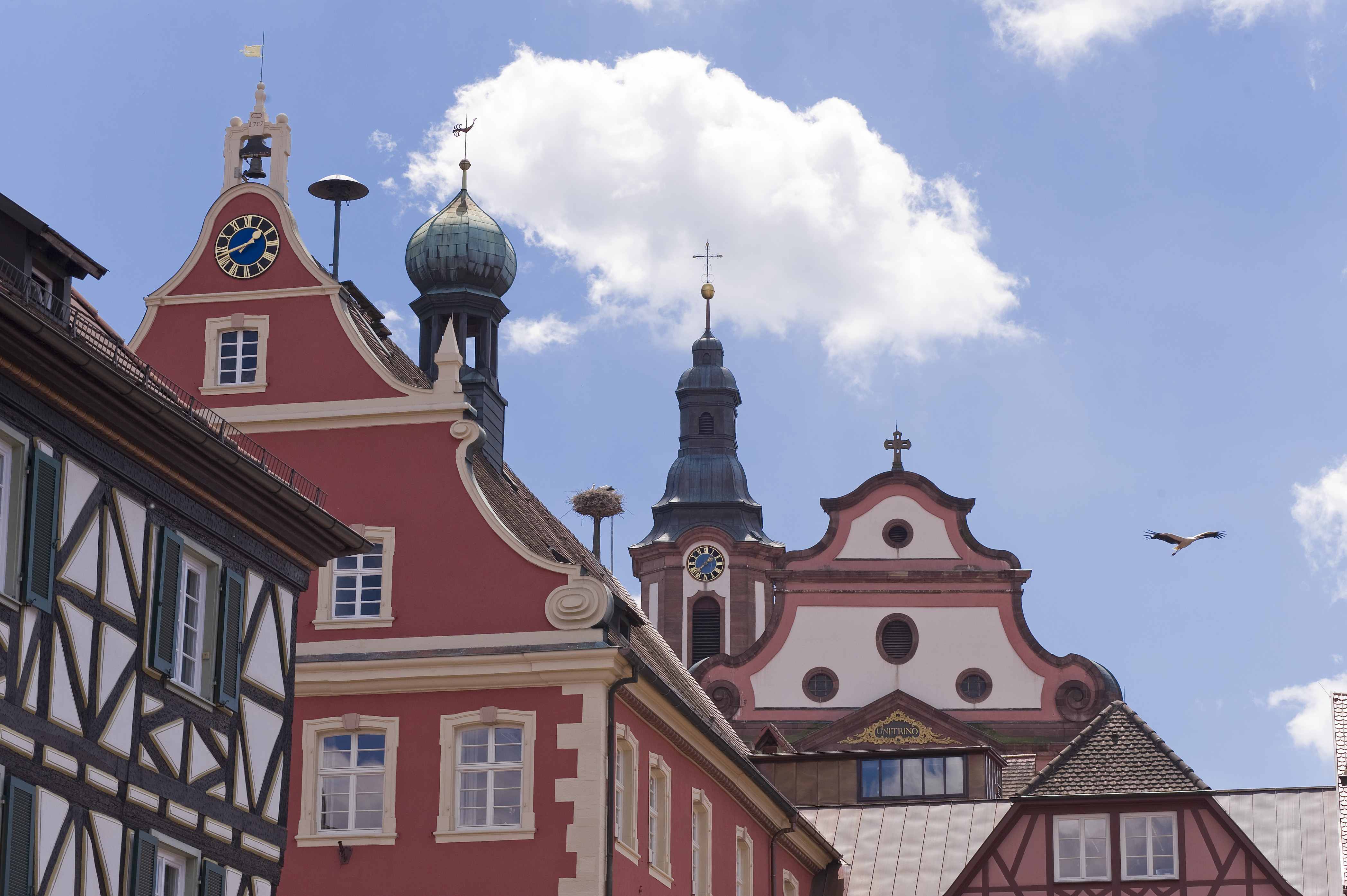 Dachlandschaft Ettenheim Rathaus-Kirche