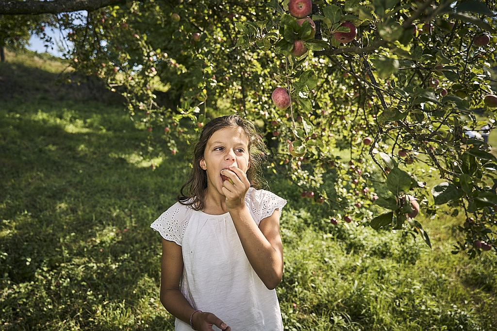 Kind isst Apfel unterm Apfelbaum