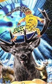 Bild von Christine Jundt