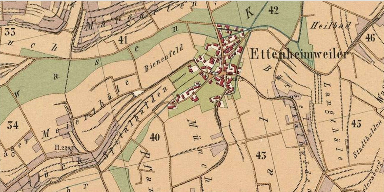 Das Gewann Spitalhalden auf einer Karte der Gemarkung Ettenheim von 1879