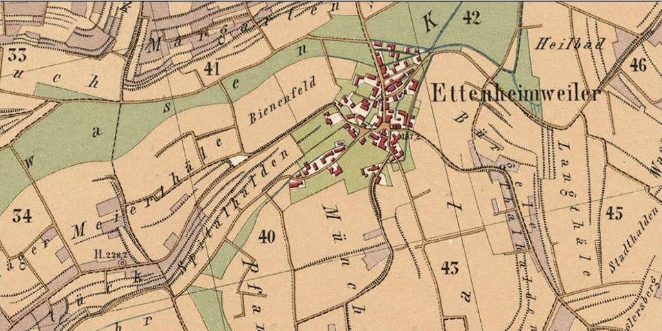 Das Gewann Spitalhalden auf einer Karte der Gemarkung Ettenheim von 1879 Das Gewann Spitalhalden auf einer Karte der Gemarkung Ettenheim von 1879