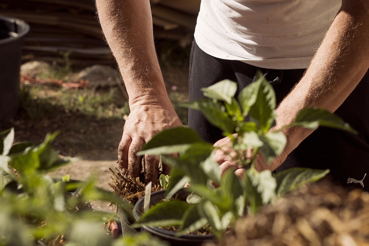 Hände bei der Gartenarbeit