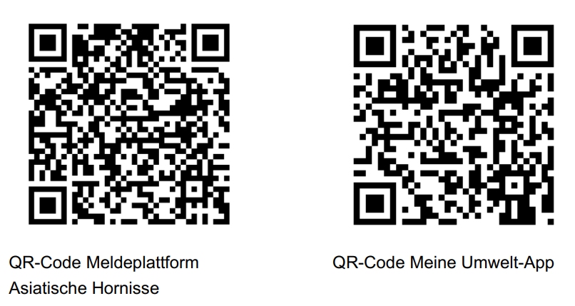 QR-Codes zur den Meldeplattformen